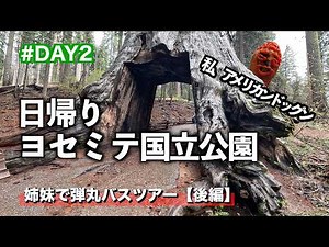 【California Travel Vlog#3】姉と行くヨセミテ国立公園！ 世界初のトンネルツリーや無数の風力発電に感動！弾丸バスツアー後編 / Yosemite Day 2🇺🇸