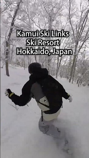 Kamui Ski Links, Japan – Local Powder Gem