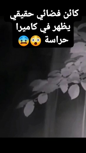 كائن فضائي حقيقي من فصيلة الرماديين 👽 يظهر في فيديو لكاميرا حراسة في احدي غابات المكسيك 😲😨 A #real_alien from the Grey family 👽 appears in a security camera video in a Mexican forest 😲😨 | ياسر موسى