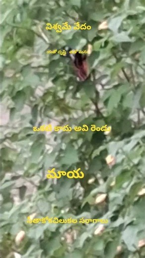 28 ఈశ్వర శరణాగతి