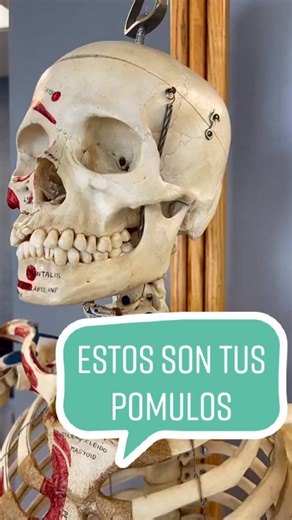 Anatomía de los Pómulos: Datos Médicos y Ciencia en TikTok
