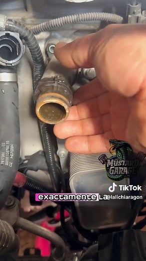 Cómo cambiar el anticongelante del auto correctamente