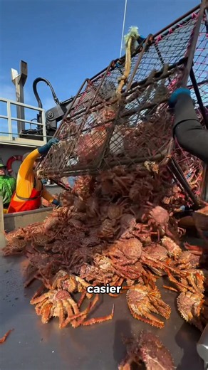 La plus beau jour de notre vie de pêcheur pro 😱😱 #peche #pechesoumarine #ocean #poisson