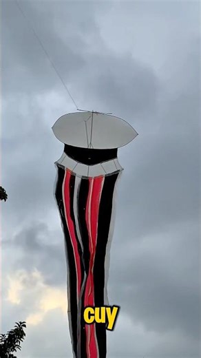 100 cool kites!! VIRAL!! #kites #datekites