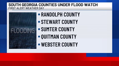 Flood watch in place for several South Ga. counties