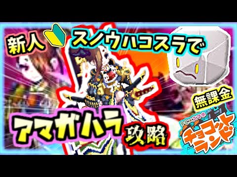 Can you conquer Amagahara with Snow Hakosla??? [No-charge Chocot Land]