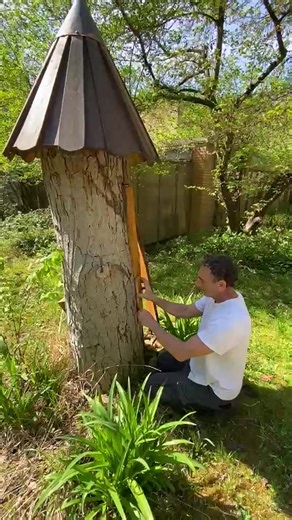 Bienenbaum im Botanischen Garten Frankfurt am Main Ein Blick in eine von vier unserer installierten Baumhöhlensimulationen im Botanischen Garten Frankfurt am Main. Die BIENENBOTSCHAFT betreut seit 2016 die darin lebenden Bienenvölker und sorgt mit dem natürlichen Zuhause für eine biologische Vielfalt. Ape nel giardino botanico di Francoforte sul Meno Uno sguardo a una delle quattro delle nostre simulazioni di grotte d'albero installate nel Giardino Botanico di Francoforte sul Meno. L‘ Ambasciata