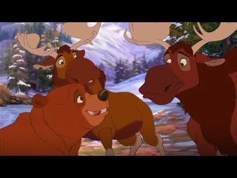 Wild Animalz (Antz) - Part 13 Rumors Spreading
