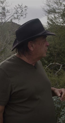 The Palo Verde - Plants of the Superstition Mountains