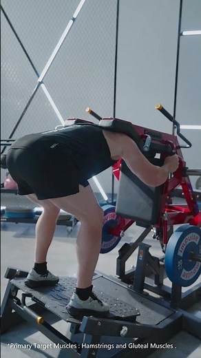 Impulse Fitness ECP713 SQUAT Professional Plate-loaded Strength Training Fitness Equipment