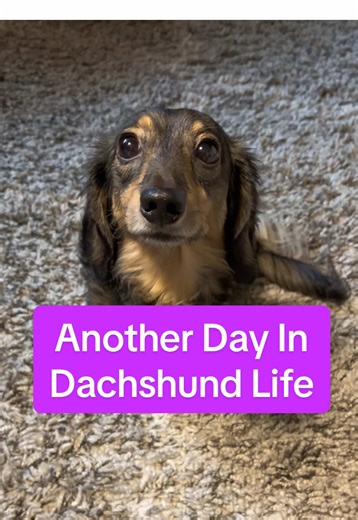 Cindy's Fun Things (@cindyl224)’s videos with original sound - Cindy's Fun Things