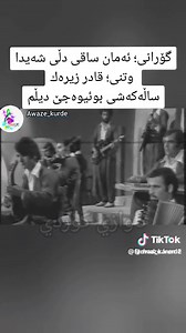 Live Orchestra Performance Featuring String Musicians