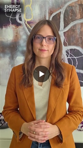 Attracting Long-Term Investment with ESEM in NEM | Marija Petkovic posted on the topic | LinkedIn
