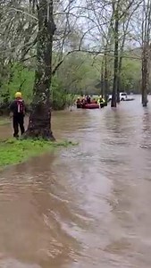 68K views · 19 reactions | The Laclede County Record on Reels | Facebook