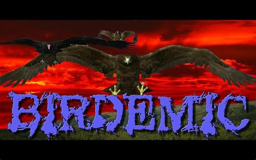 烂片回顾：群鸟：震惊和恐怖（ Birdemic- Shock and Terror）
