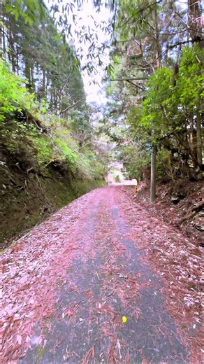 Modern Japan: Walking along abandoned railway lines: Ichiwatase, Minamata, Kumamoto