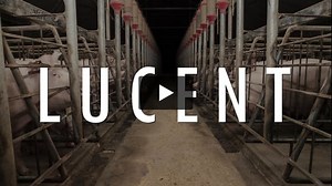 Lucent (2014) - full documentary