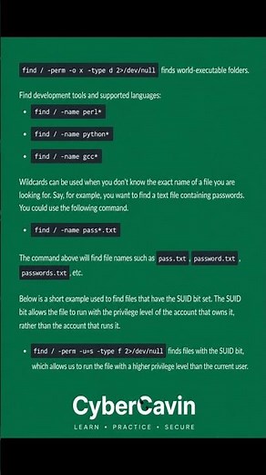 Mastering the Linux "find" Command: Advanced File Discovery & Security Auditing