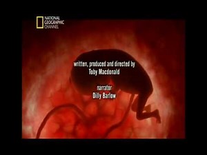 Documental - "El vientre materno" National Geographic HD P(7/7)