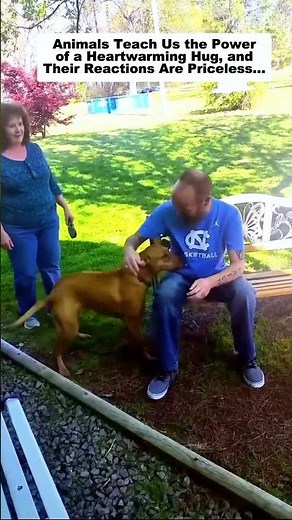 Animals Teach Us the Power of a Heartwarming Hug, and Their Reactions Are Priceless…