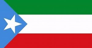 Ethiopia's Somali regional parliament restores flag, amends name | Africanews