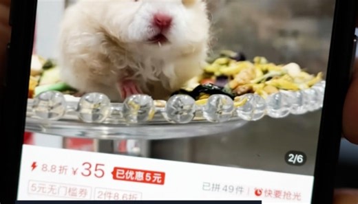 What contraband goods can Hongkongers buy on Chinese e-commerce platforms?