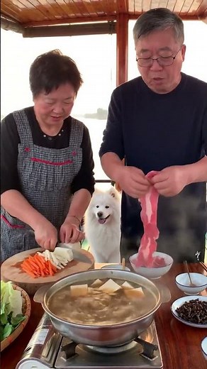 Chinese Grandma & Grandpa with Dog Cooking Hotpot on a River Boat” #food #seafoodrecipe