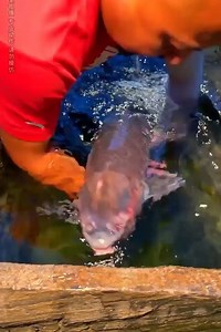 Increíble chef china cocinando comida y comiendo en el campo | Alexandra Lúgaro