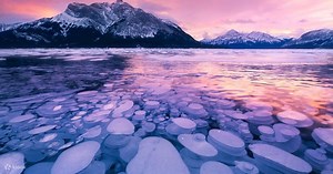 Abraham Lake Ice Bubbles and Peyto Lake Adventure Tour in Banff  - Klook United Kingdom