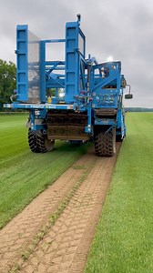 Premium, Maryland state-certified sod harvested fresh daily🌱 Same day pick-up & next day deliveries available for both wholesale & retail! | Central Sod Farms of Maryland