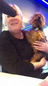 10K views · 90 reactions | Excuse the croaky voice..... | Jay-Jay Feeney | Facebook