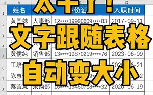 Excel文字跟随表格自动调整大小