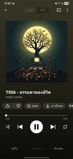 ธรรมดาของชีวิต #molynmusic #เทรนวันนี #กระแสมาแรง #เพลงฮิตtik #เพลงเพราะ