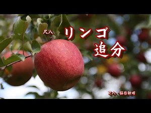 リンゴ追分・尺八：脇谷敏明