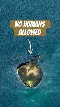 This island is a giant Petri dish