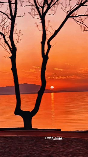 5.7K views · 201 reactions | Sonbahardan kışa ️李 #iznikikesfet #iznik #bursa #lake #animals #keşfet #günbatımı #sunset #sonbahar #autmn #explore #discover #nature #explorepage✨ #virals #reels #rainy #spring #springtime #forest | İznik'i Keşfet | Facebook