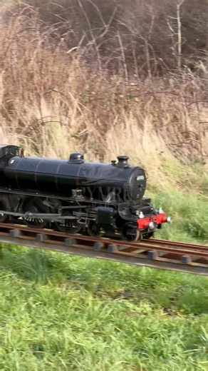 POWERFUL MINIATURES! The best of miniature steam train action 🚂🔊 #MiniatureRailway