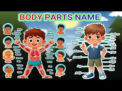Body Parts Name for Kids | Fun Learning Video for Children | Back to School Special