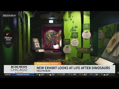 New Chicago Field Museum exhibit explores life after dinosaurs