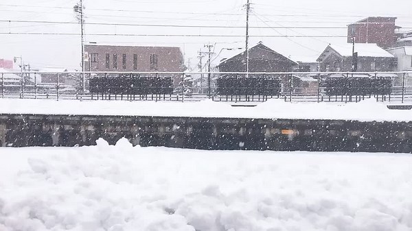 #ytykyty #daugiataigia #VideoReply #toithaydoi #thuthachhoangua #dungvoitin #duoihinhbatchu #choinoichu #motculua #testvinglish #toithaydoi #jumpup