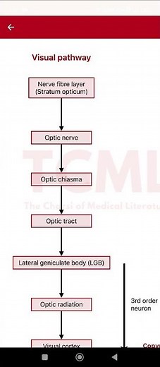 Visual pathway disorders #neetpg