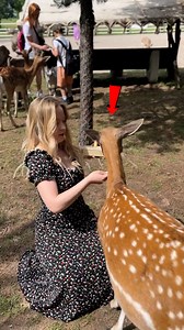 5K views · 19 reactions | You Won’t Believe What Animals Spit Next勞 | Animal World | Facebook