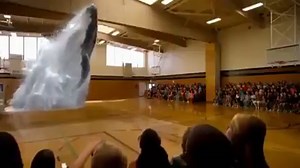 812K views · 8.5K shares | 7D Hologram teknolojisi kullanılarak yapılan muhteşem bir gösteri | Fizikist | Facebook