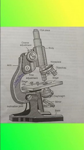 Parts of a simple microscope