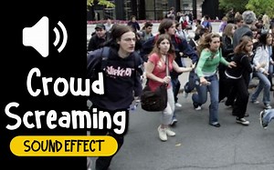 人群 尖叫 慌乱 恐惧 音效 (HQ)