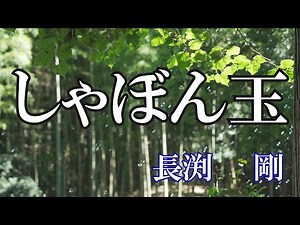 しゃぼん玉 / 長渕 剛 (歌詞入り)
