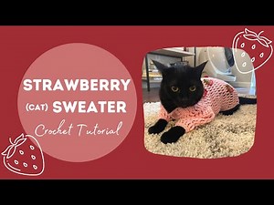 CROCHET CAT SWEATER | Tutorial for Sweater and Strawberry Applique