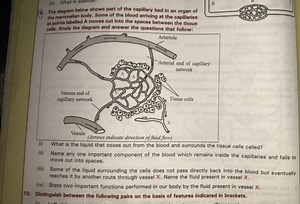 The diagram shows part of the capillary bed in an organ of the ... | Filo