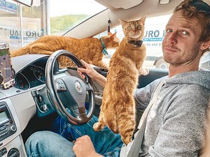 How to travel with pets to Montenegro (Relocate with your pets)