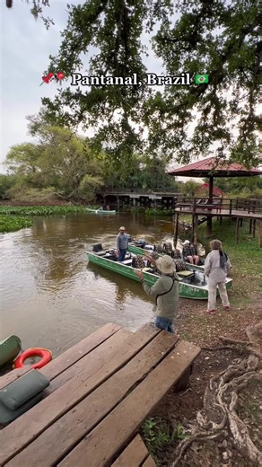 The Nature in Pantanal , Brazil 🥰❤️🇧🇷🏞🦫🐊🕊🐟🗺 #travelling #travel #tiktoktravel #travellifestyle #travelmemories #travelgoals #travelbucketlist #brazil🇧🇷 #pantanal
